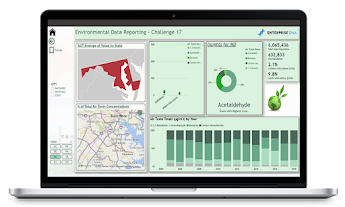 Environmental Statistics Report