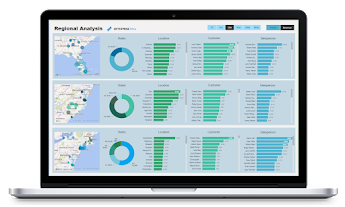 Regional Performance Analysis