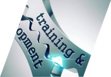 training and development