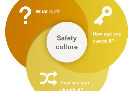 Safety Culture Assessment