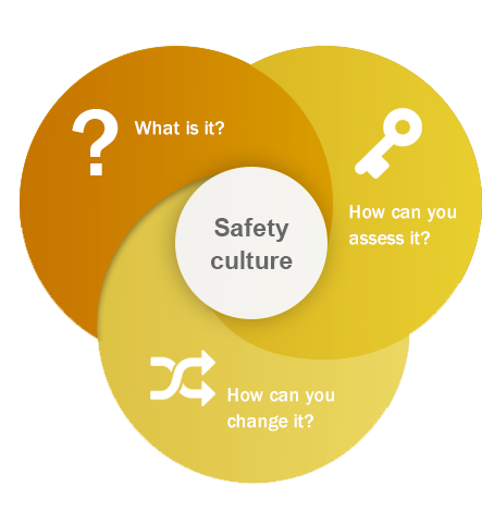 Safety Culture Assessment
