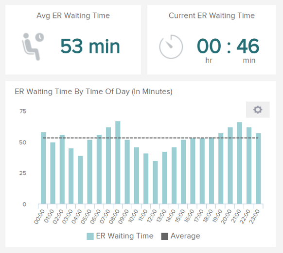 EMERGENCY ROOM (ER) WAIT TIME